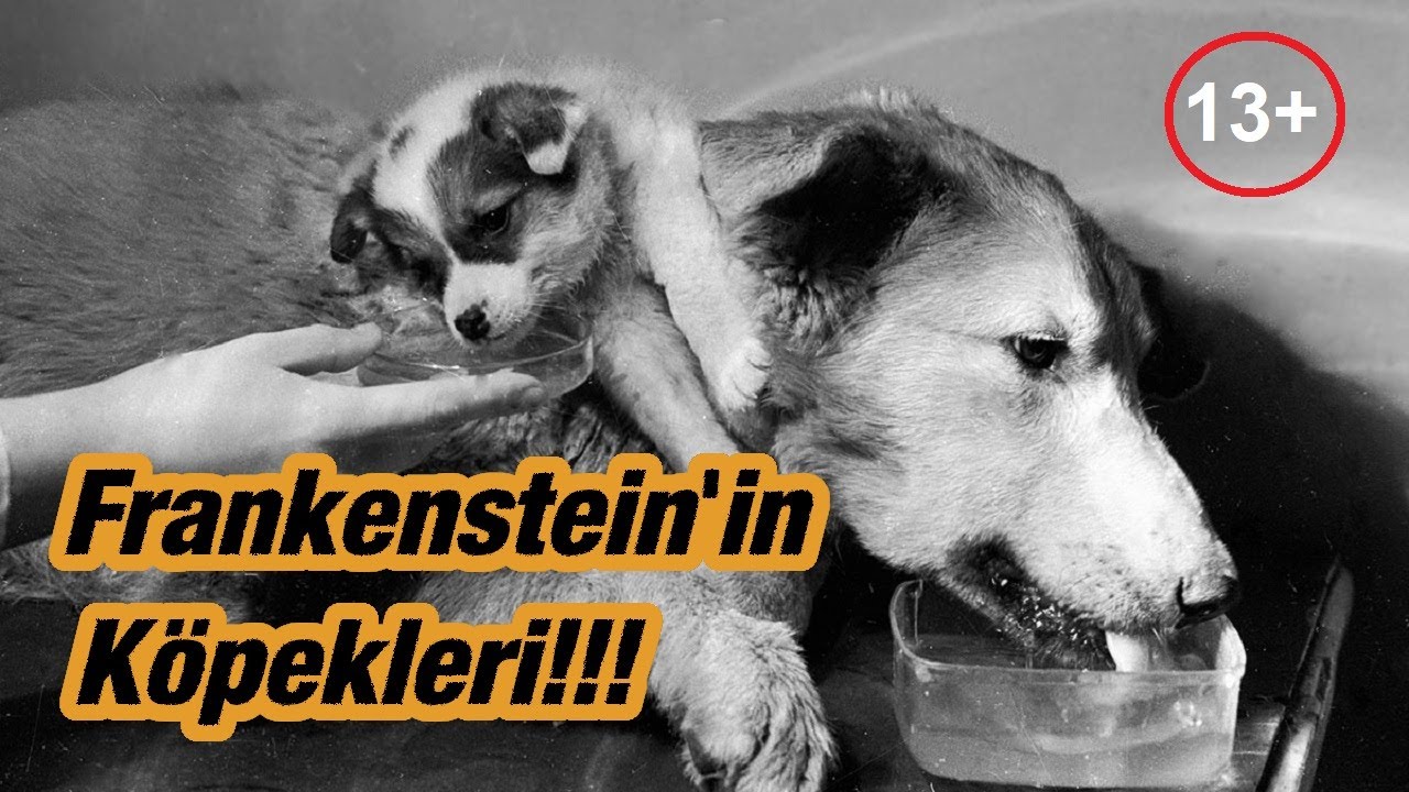 Karanlık Bilim #4  Frankenstein Köpekleri !