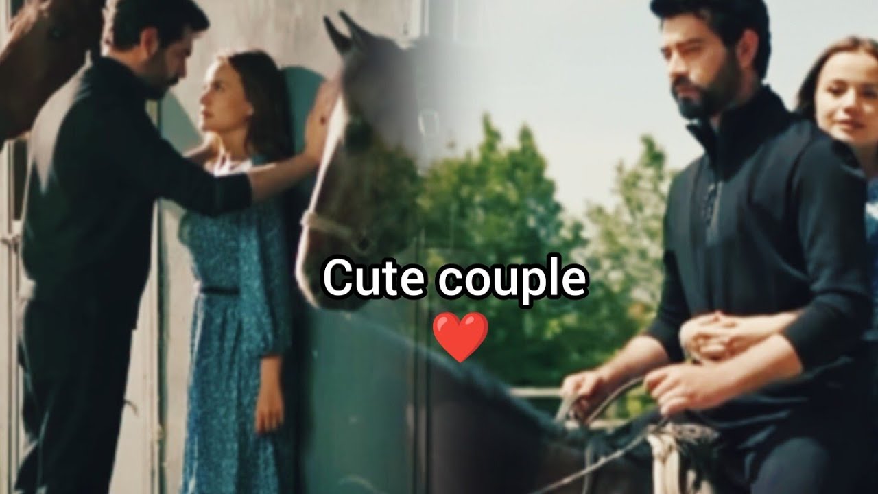 Baran's attitude🌺 #dilan #baran #kançiçekleri #dilbar #turkishdrama #trending #love #romantic #jeena