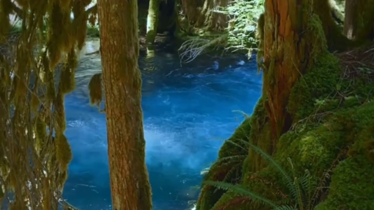 Lindas paisagens 