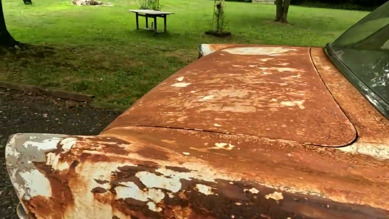 1955 Chevy revival. Will it.........?  #55chevy #trifivechevy