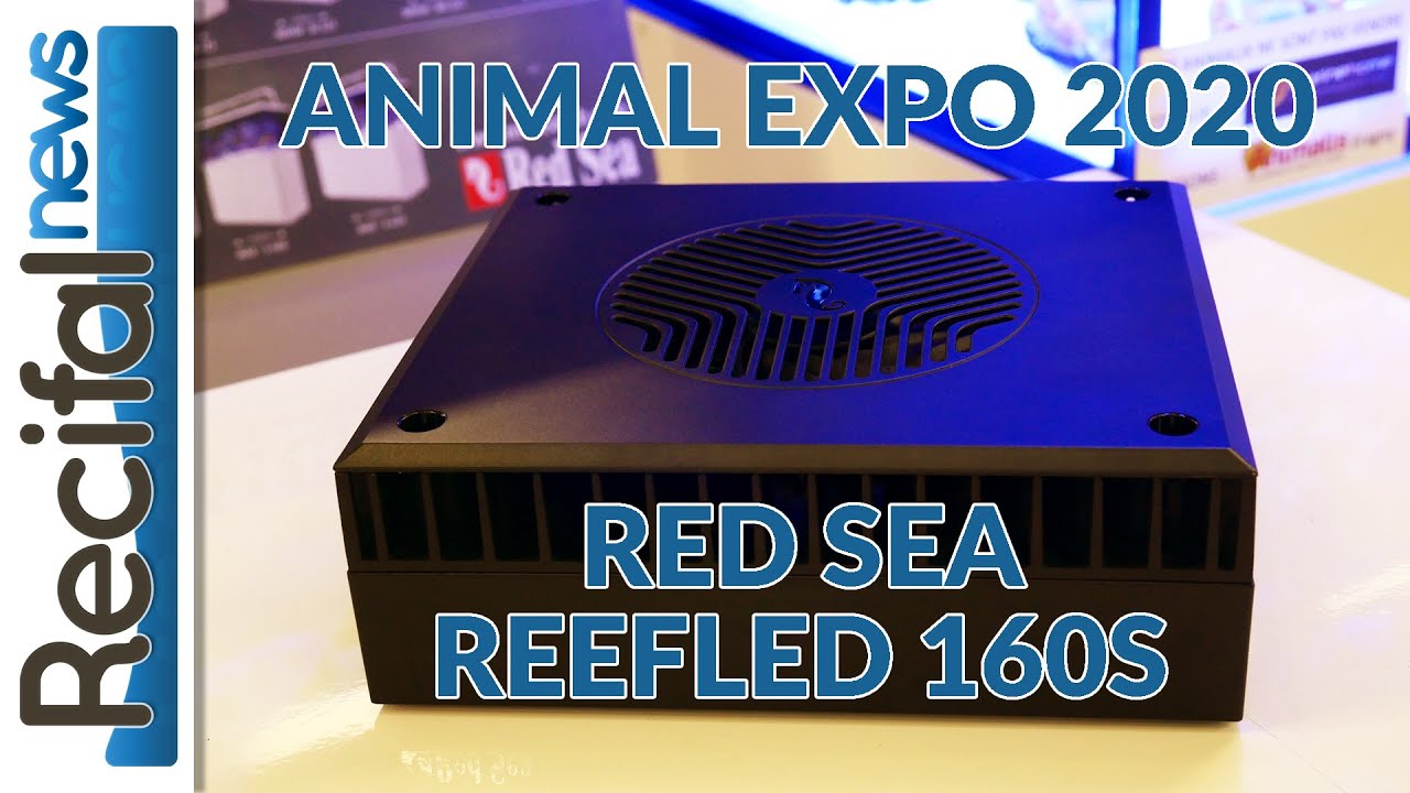 Animal Expo 2020 - Red Sea ReefLED 160S