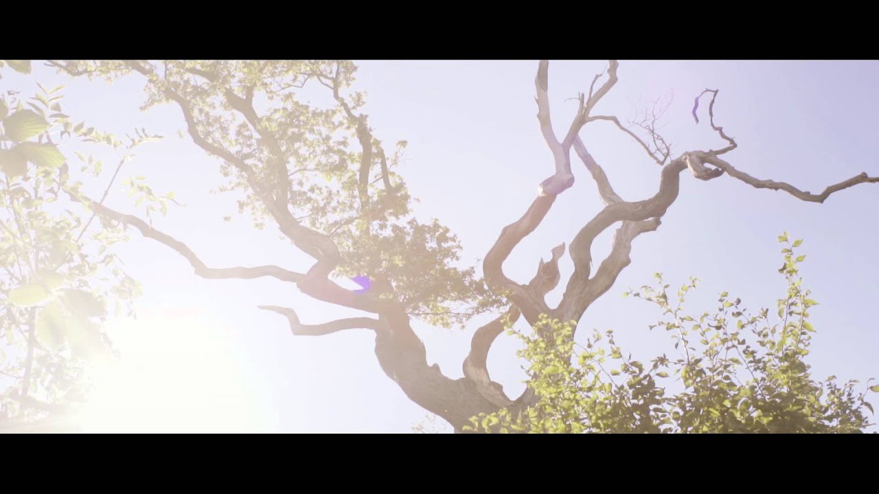Martin Tingvall - Music Video 