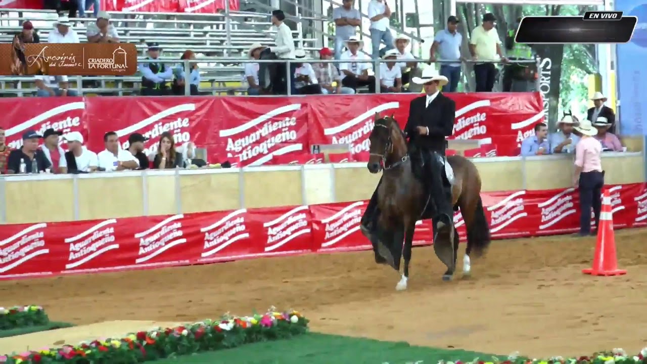 Transmisión en directo de Asdesilla Comunicaciones