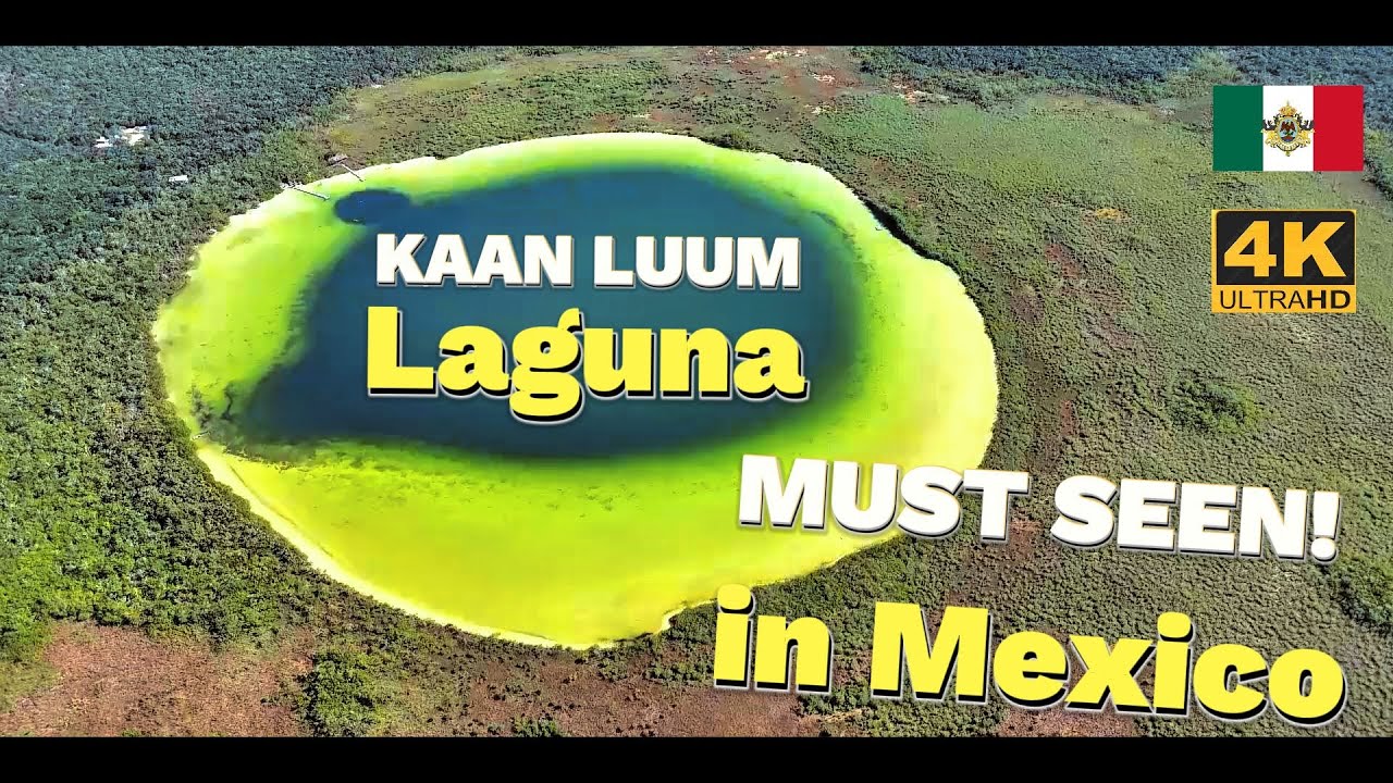 ⛱️Mexico - Laguna KAAN LUUM 4K ⛱🏝 🐠Riviera Maya