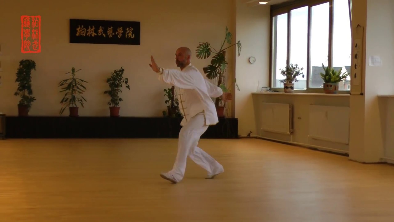 Chaquan - traditional Shandong Zhang Style, 传统张氏查拳