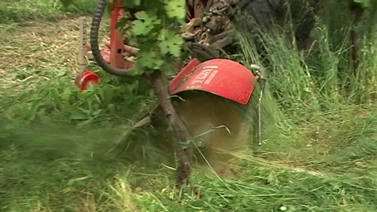 36 Diserbo meccanico per vigneto