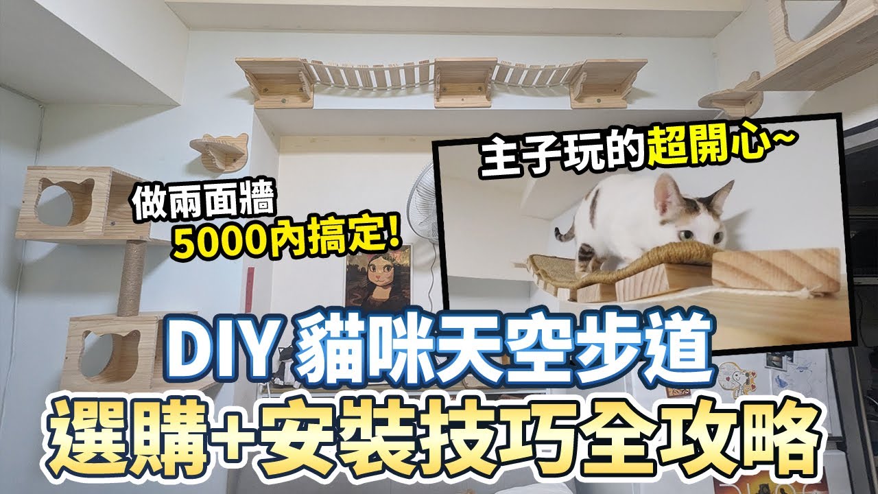 DIY打造貓咪天空步道! 選購+安裝技巧全攻略 ｜貓牆｜貓跳台｜貓空間設計