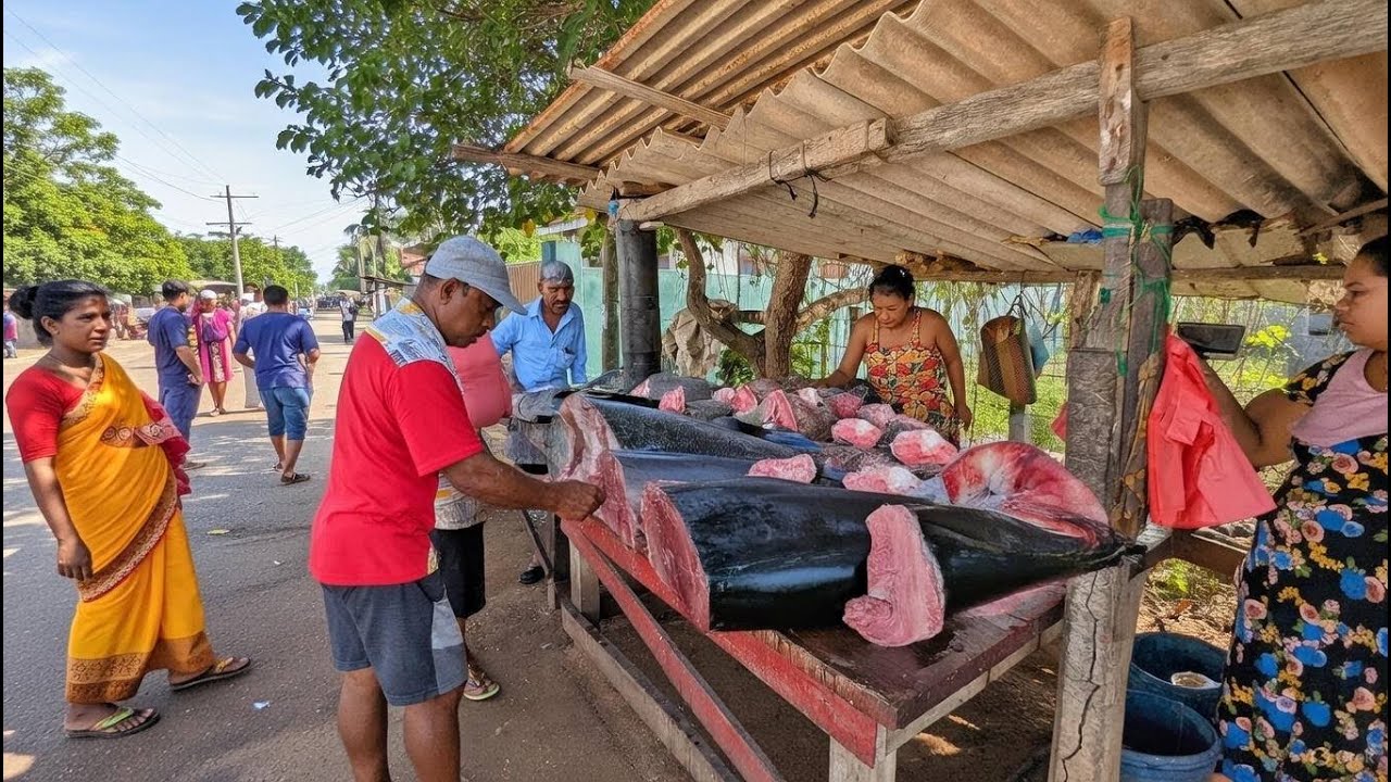 Fishing Family Catches Huge Fresh Fish | Rural Fish Market Day