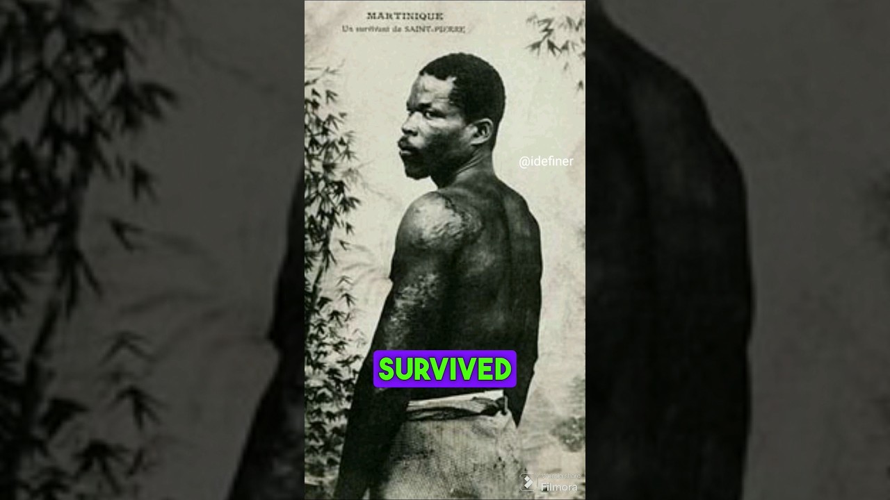 Only Man Survived the 1902 Mount Pelee Eruption #survive #knowledgefacts #facts #shortsfeed #world