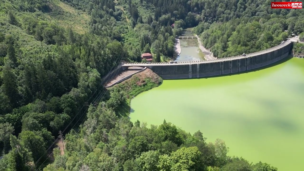 Jezioro Pilchowickie umiera