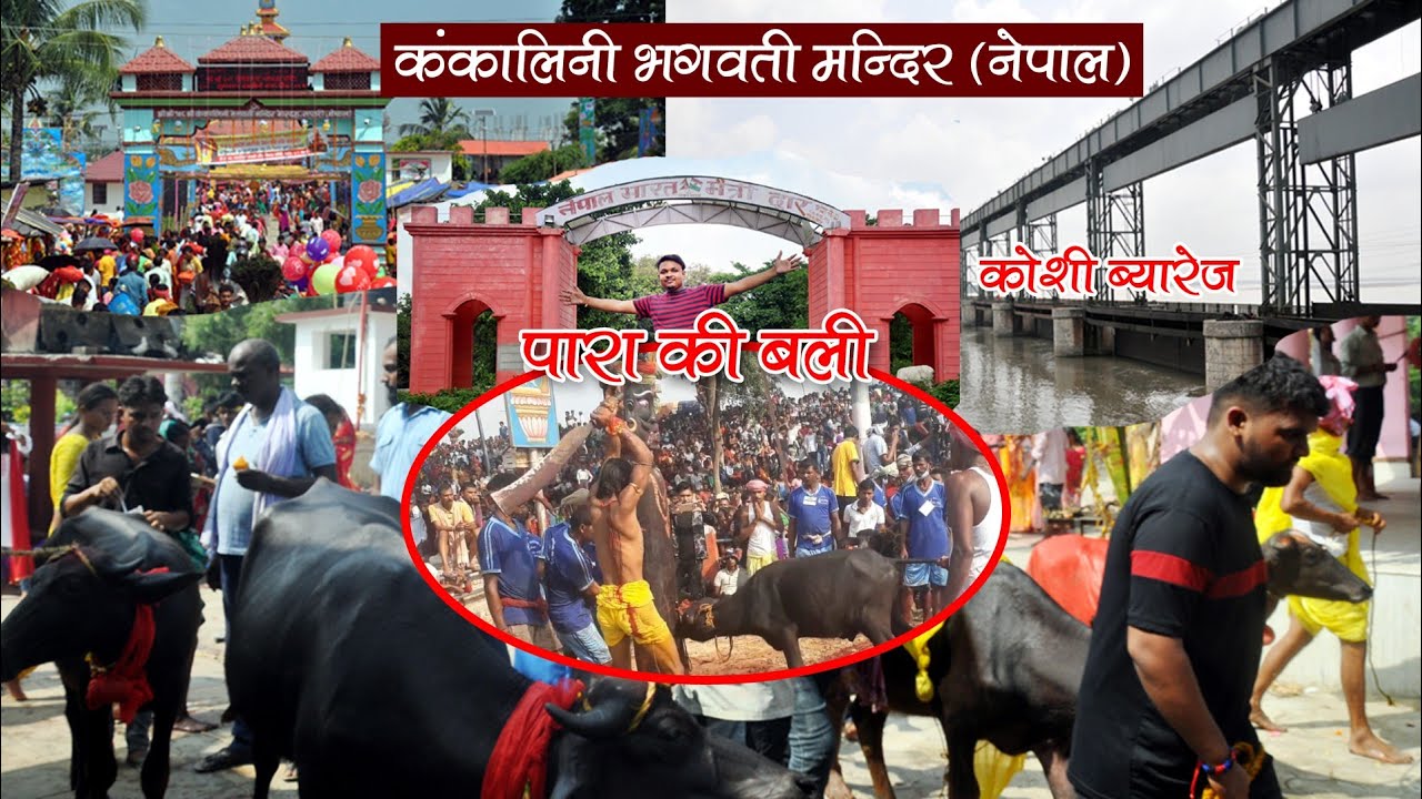 Kankalini Bhagwati Mandir Nepal II Koshi barrage II Para Bali II