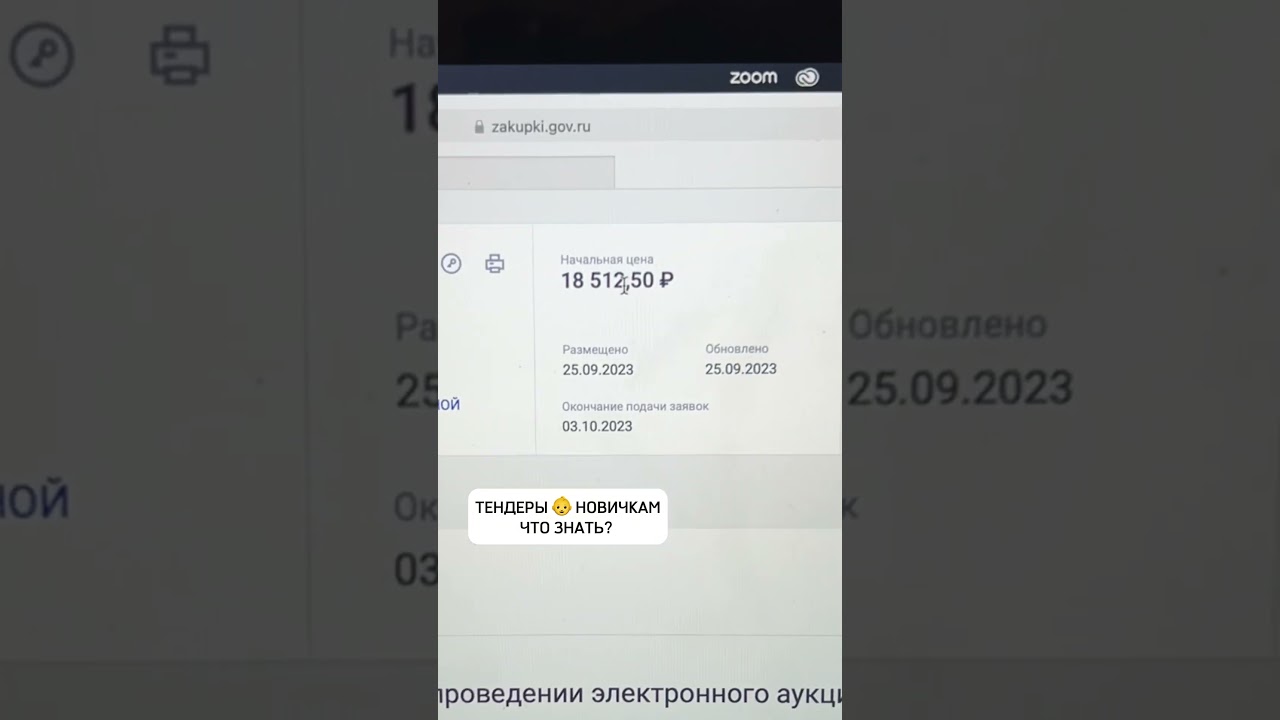 Тендеры для новичков #инвестиции #бизнес #деньги