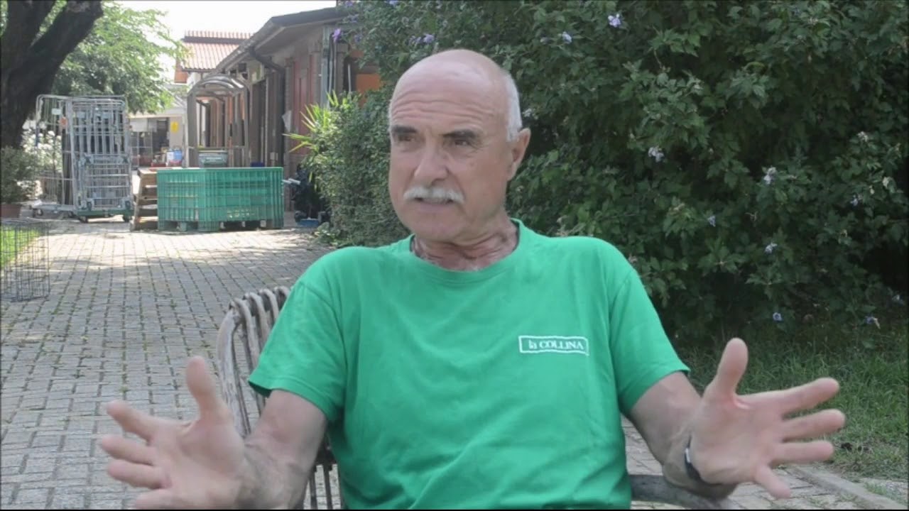 POMODORO DA INDUSTRIA - controllo della peronospora nel pomodoro da industria biologico