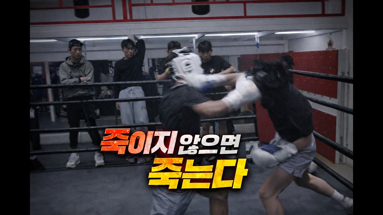 파주 고등학생 복싱 NO1은 누가 될 것인가!