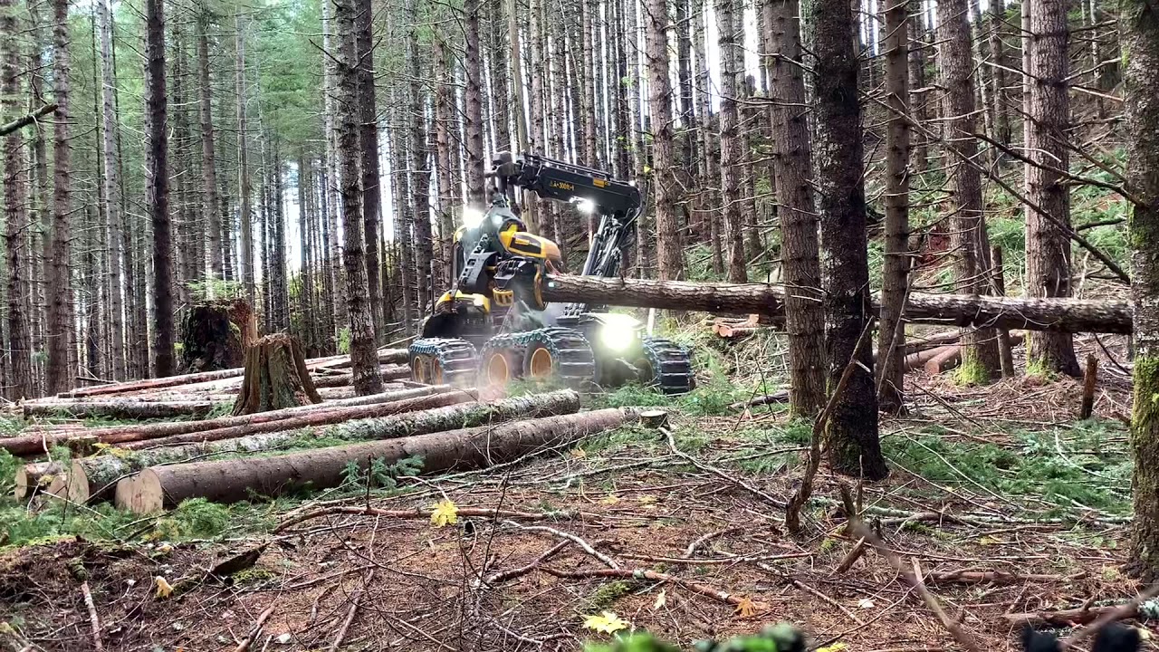 2020 Ponsse Ergo AF C5 H8