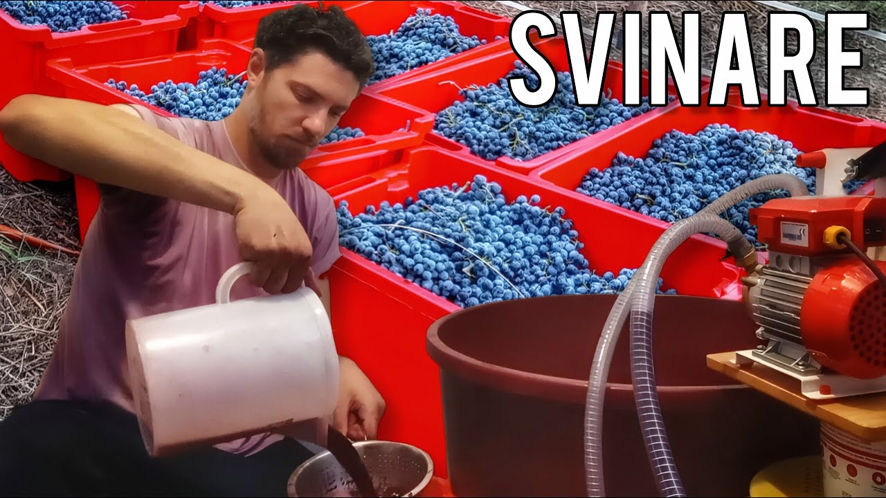 Fare il vino: come si effettua la 