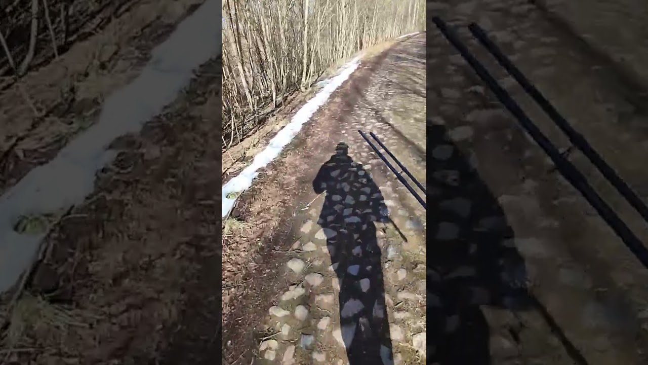 20)рыбалка и лёгкая прогулка
