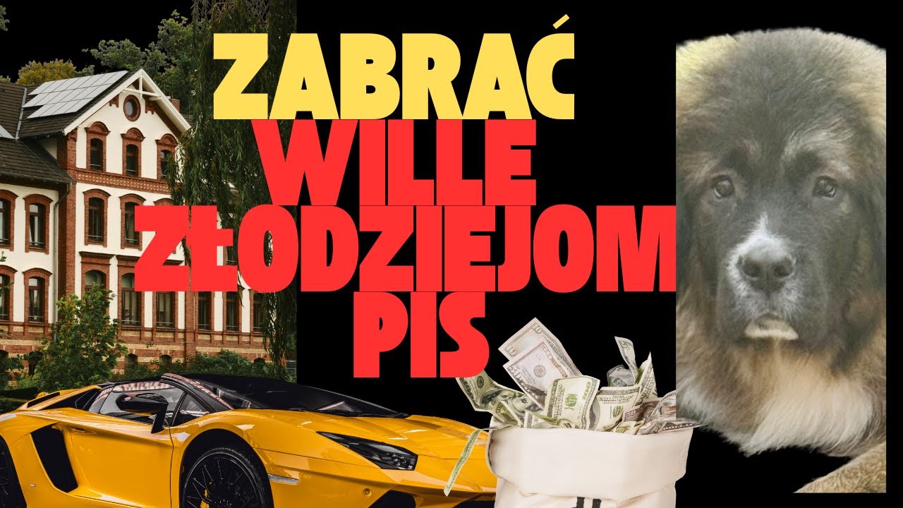 Zabrać wille złodziejom/Duś o polityce