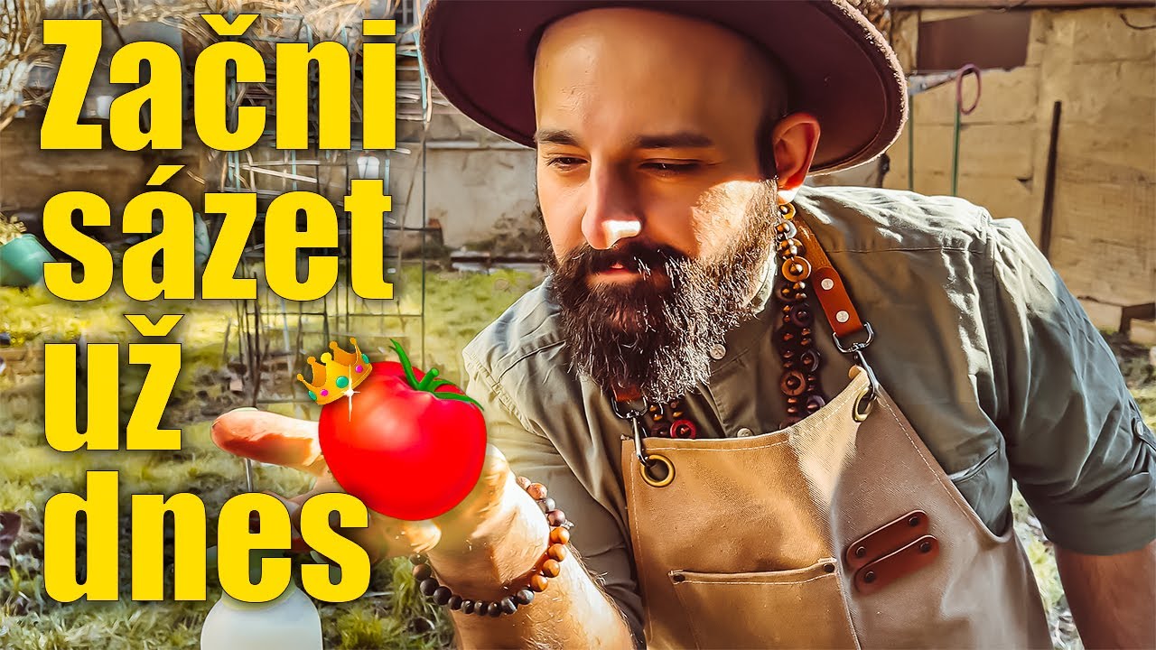 Jak sázet rajčata na 4 způsoby | EP. 1 Návod pro začátečníky