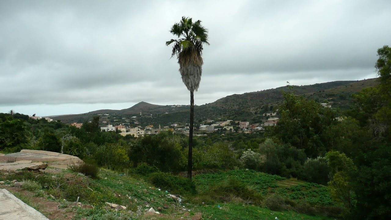 بني سيدال الجبل بواسطة عدسة ديماريف الوثائقية. 