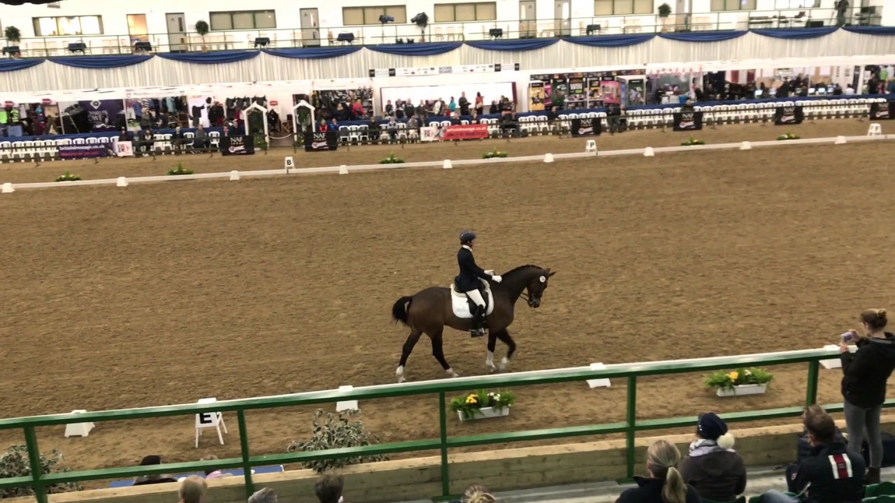 British Dressage Winter Championships Advanced Medium Freestyle Hartpury 2017