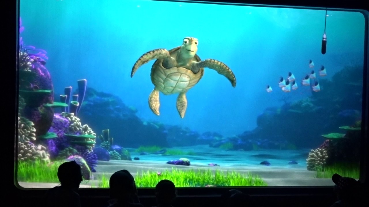 Full complete show. Crush Turtle talk at Disney California Adventure. Finding Nemo and Finding Dory