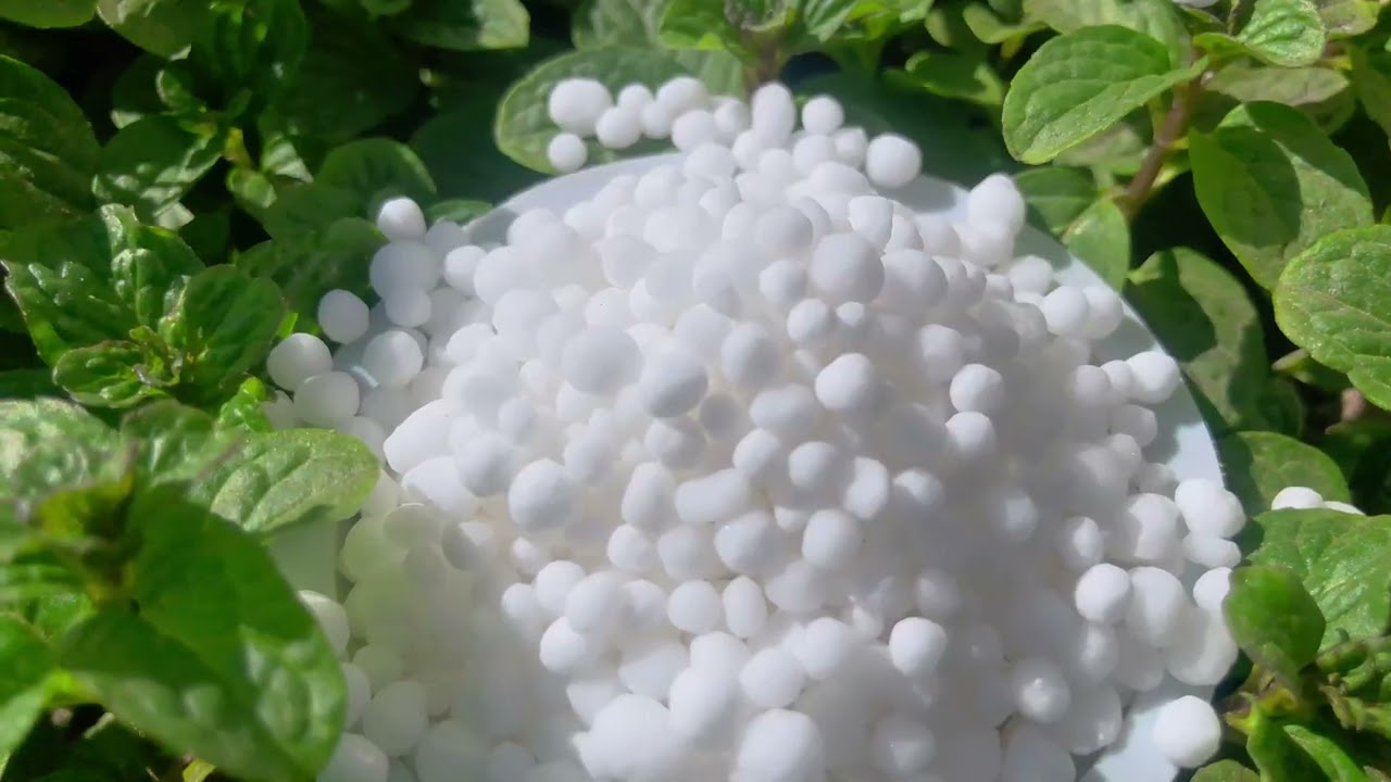 Urea Fertilizer 1KG Premium Nitrogen Fertilizer 46% for Kitchen Gardening, Lawn, & Plants