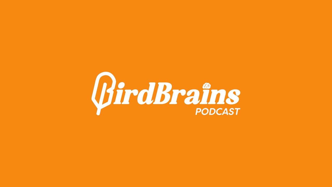 The BirdBrains Podcast Ep 3