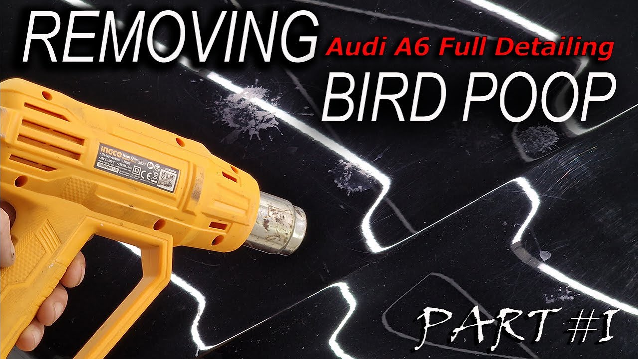 Removing Bird Poop from Car Paint!Part 1