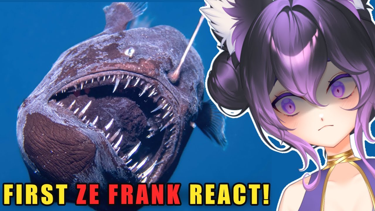 These Sea Creatures Are HORRIFYING but I Can't Stop Watching (Zefrank React)