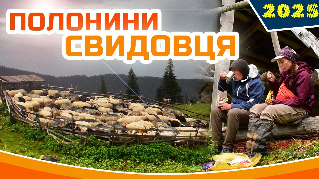 ТРИ ДІЮЧИХ ПОЛОНИНИ 🐑🐑🐑  Спускаємось зі СВИДОВЦЯ 👋❤️