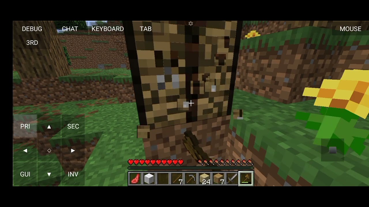 #viralvideo #minecraft #gaming #video #ytvideo #player 