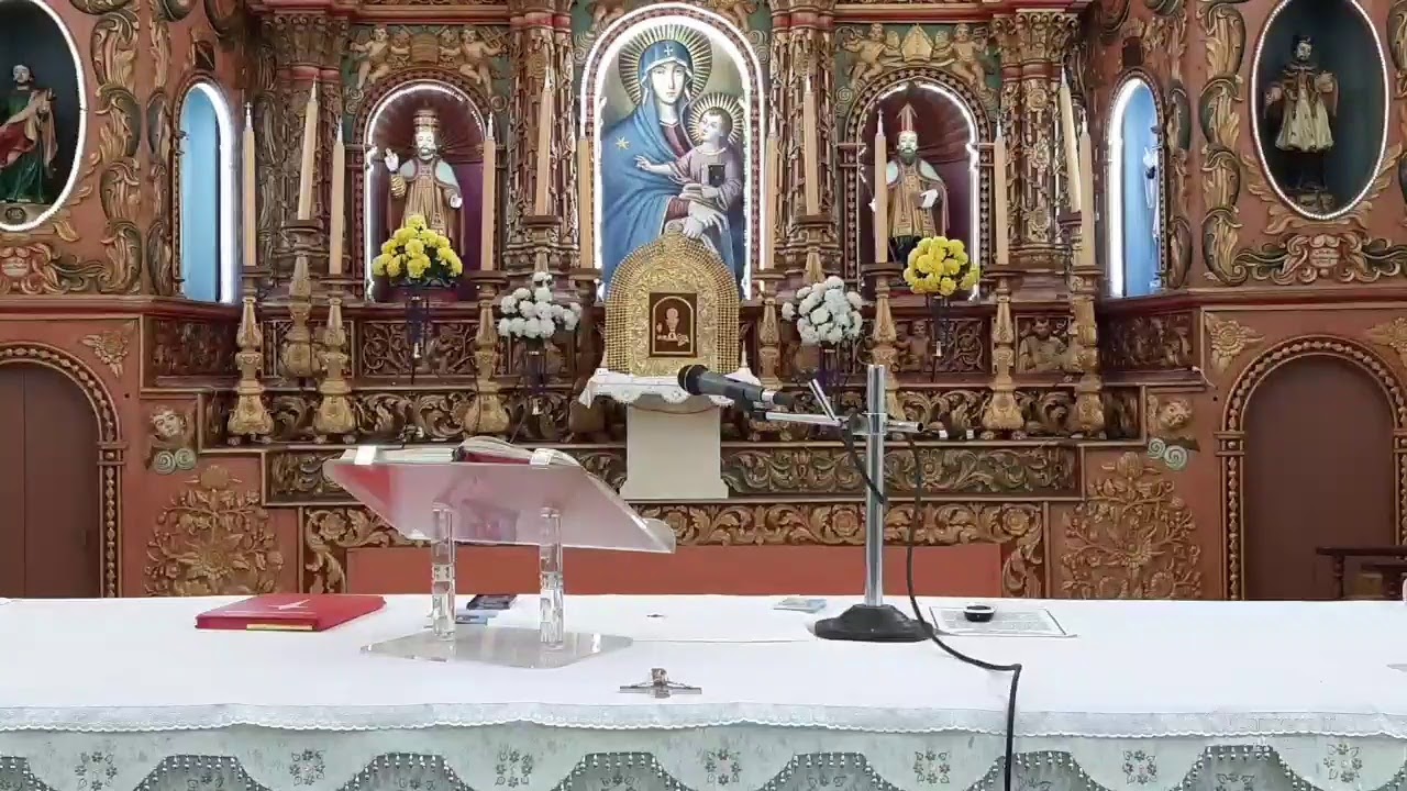 Live Malayalam Holy Mass and Novena of Vechoormuthy (01/08/2020)
