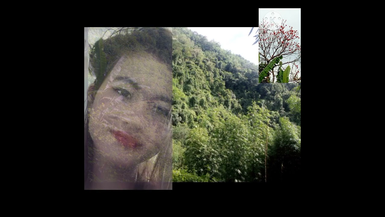 Tlanglawma Ralte             Thlafam vangkhua