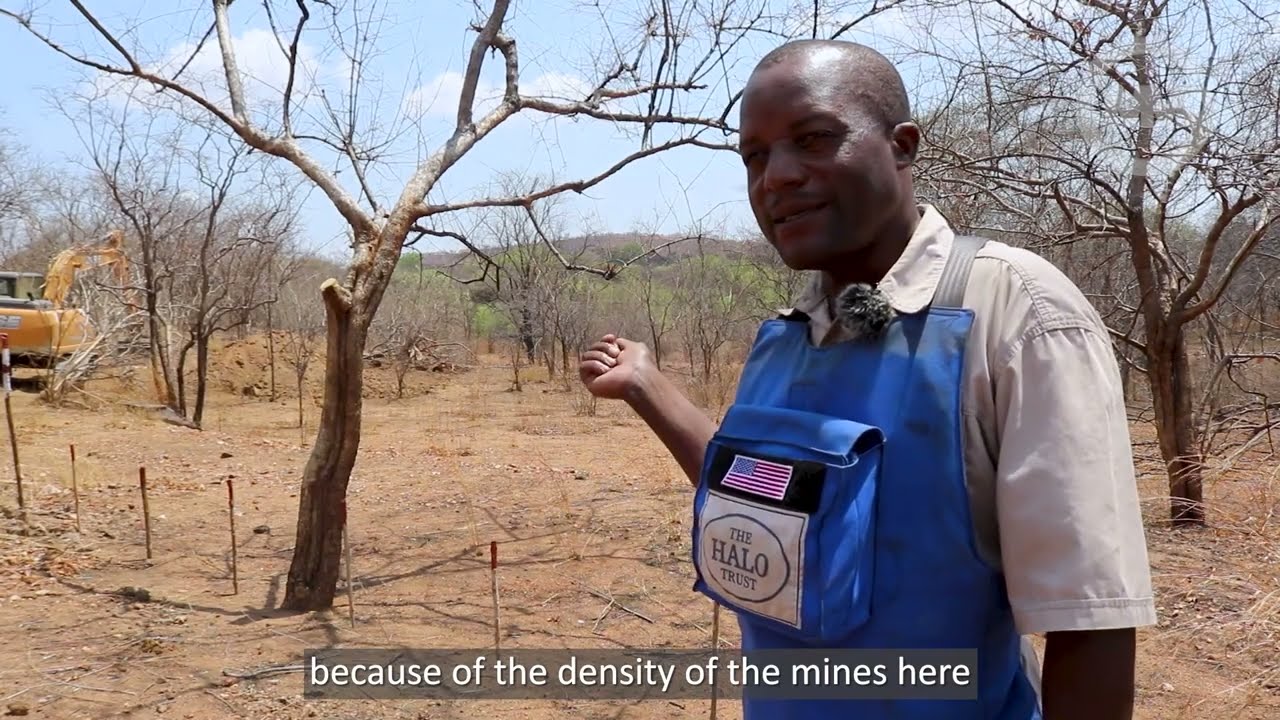 MMD Demining Sizer clearing land mines in Zimbabwe