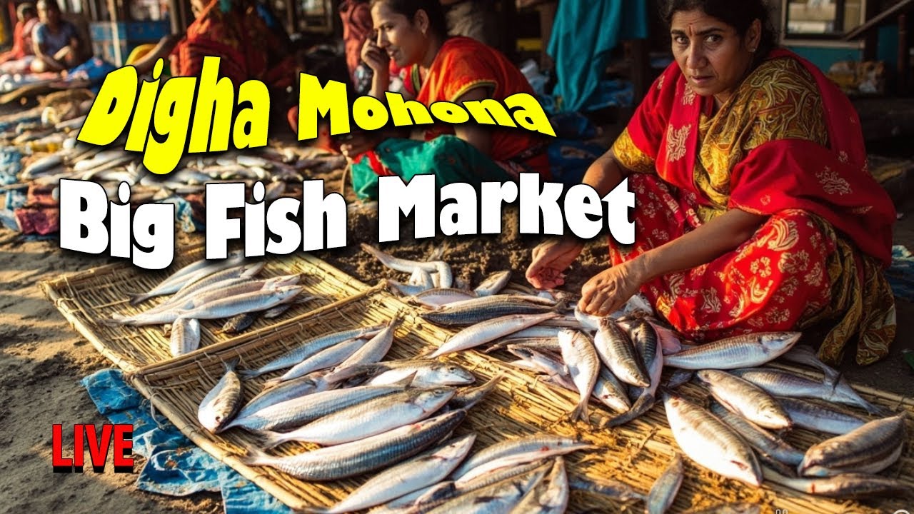 Big Wholesale Fish Market in "Digha, Mohana,  West Bengal, India