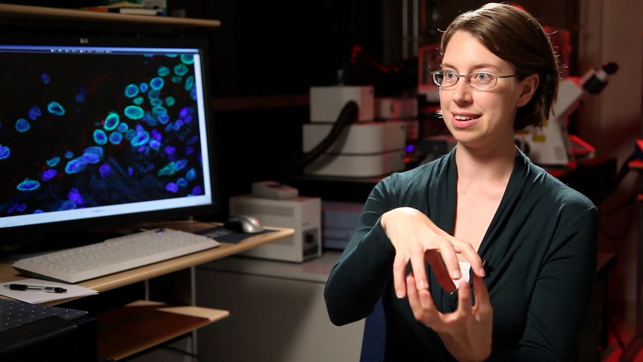 Salk researchers identify potential biomarker for cancer diagnosis