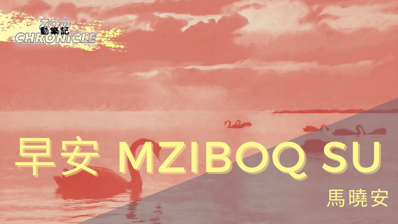 馬曉安 - 早安 mziboq su | mziboq su ! musa su inu?  | 動態歌詞 Lyric Video