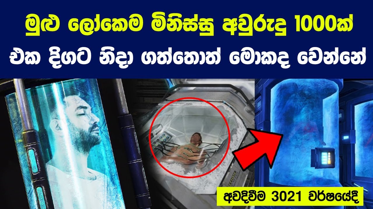 මුළු ලෝකෙම මිනිස්සු අවුරුදු 1000ක් එක දිගට නිදා ගත්තොත් | What if everyone slept for 1000 Years?