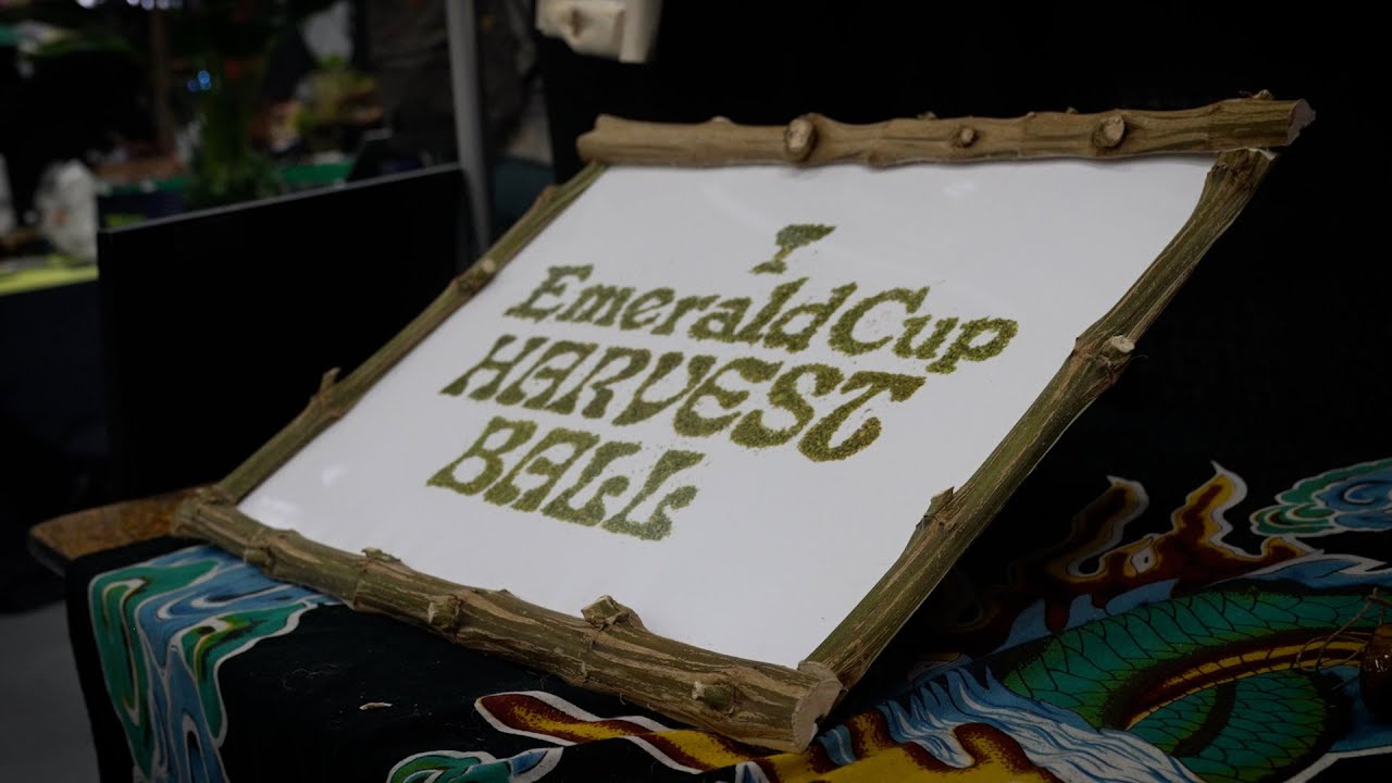 Emerald Cup Harvest Ball 2022