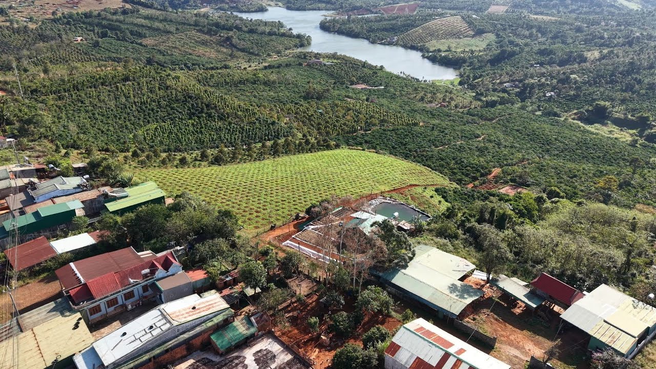 ( ĐÃ BÁN ) BÁN GẤP 1.4 HA NGAY DÂN CƯ ĐÔNG ĐÚC GIÁ RẺ BÈO NHÈO LH 0979.653.223