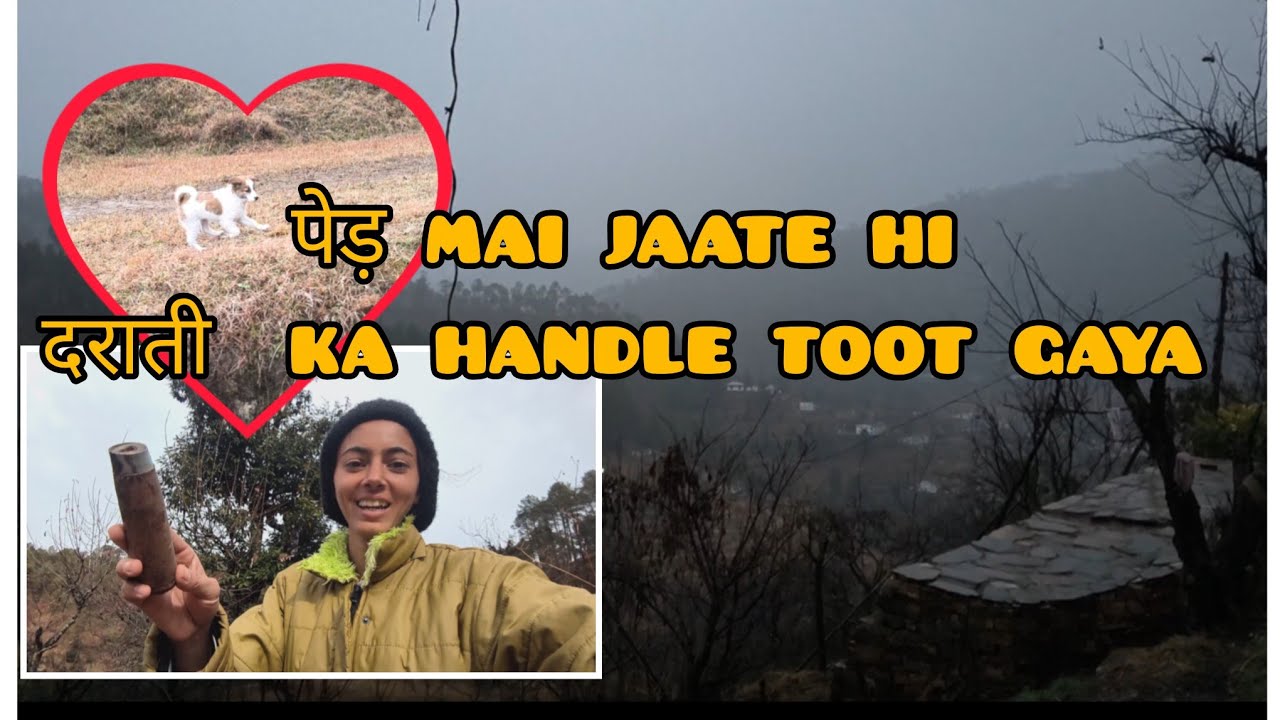 Aaj bhi subh Barish 🌧️ || Shimpoo 🐕 aaya Gaay🐄 charane || 