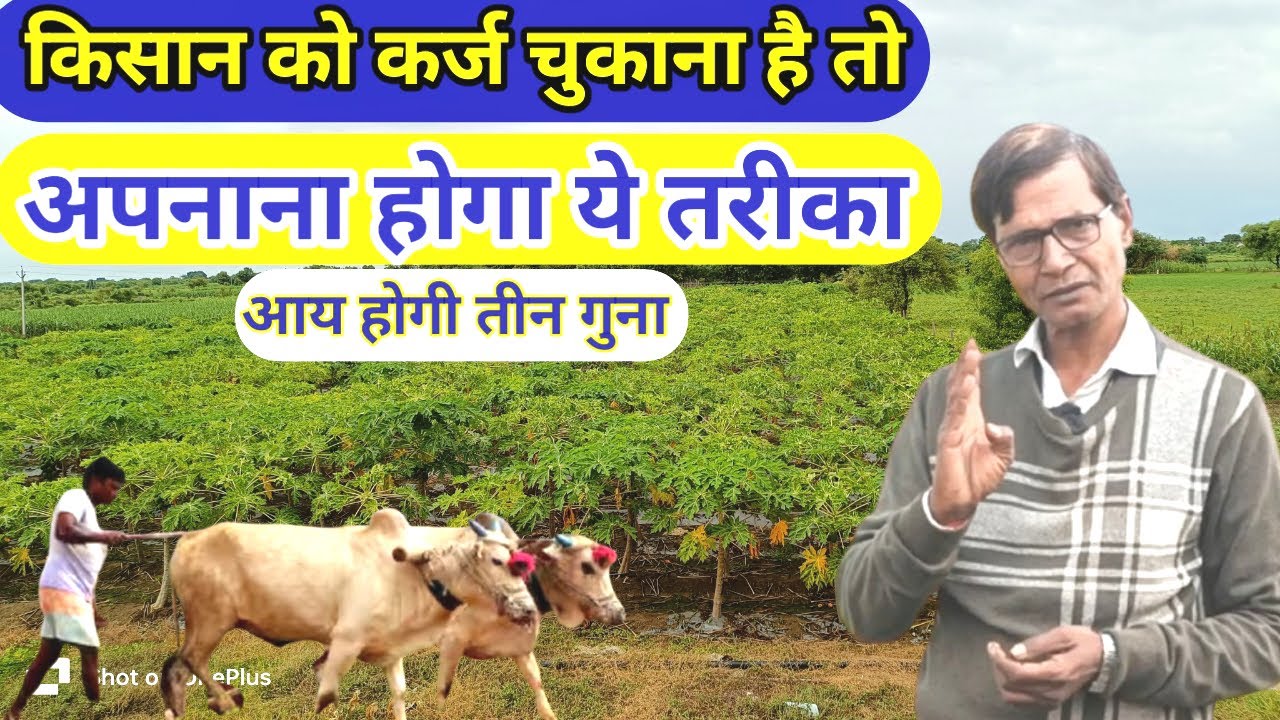 ये वह तरीका है जिससे किसान कर्जे से मुक्त हो सकते हैं How can farmers become debt-free?...