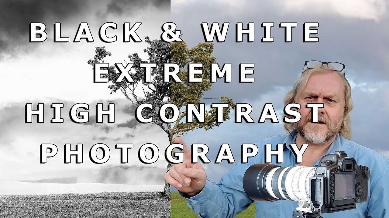 Photographing Trees with Canon EOS 5Ds + 100-400mm | Sunlit Bark & Photoshop Creative Edit
