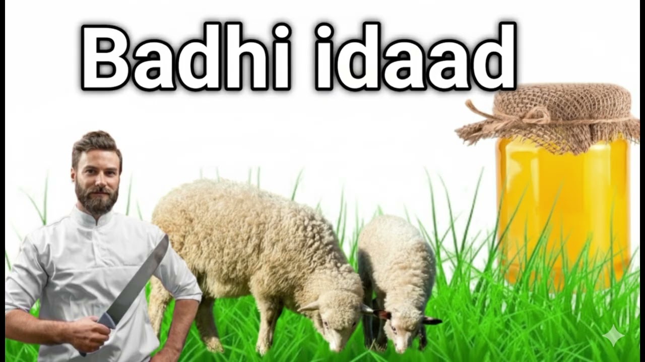 Faa'idada Barida Idaha & Cudurada Ay Wax ka tarto iyo Gaaska Soomalida ay ka sheeganayaan xalkiisa