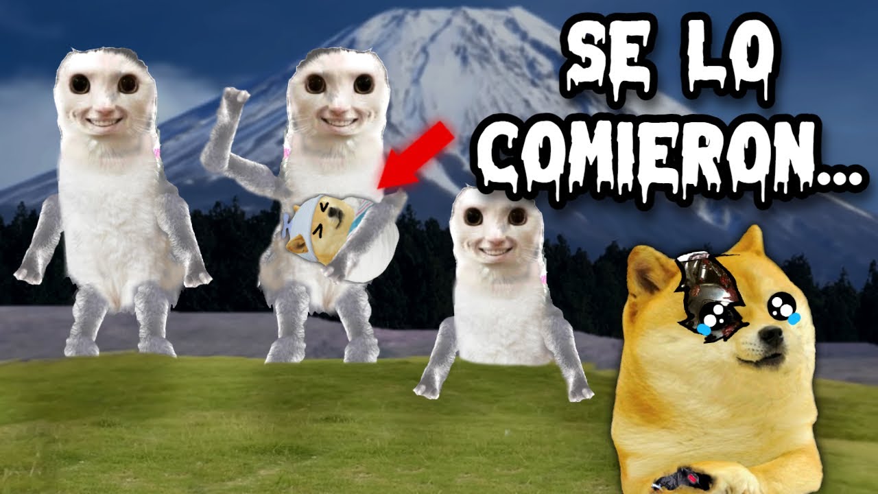 LOS GATOS SE LO COMIERON, NO TE QUEDES SOLO CON GATOS - Hilos con cheems