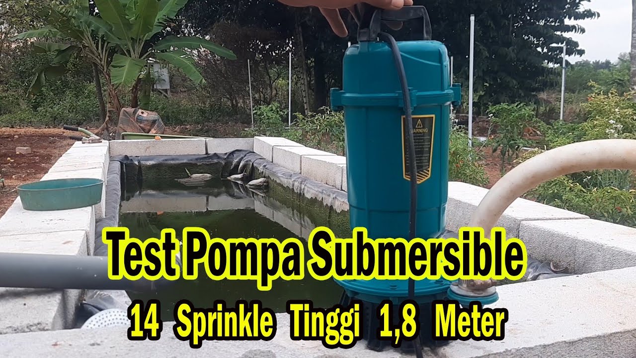 Tes Pompa Celup Submersible Kolam dan Springkle