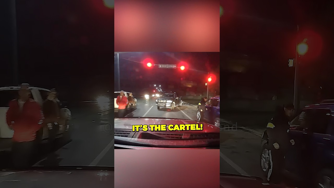 Brave Dad vs Mexican Cartel