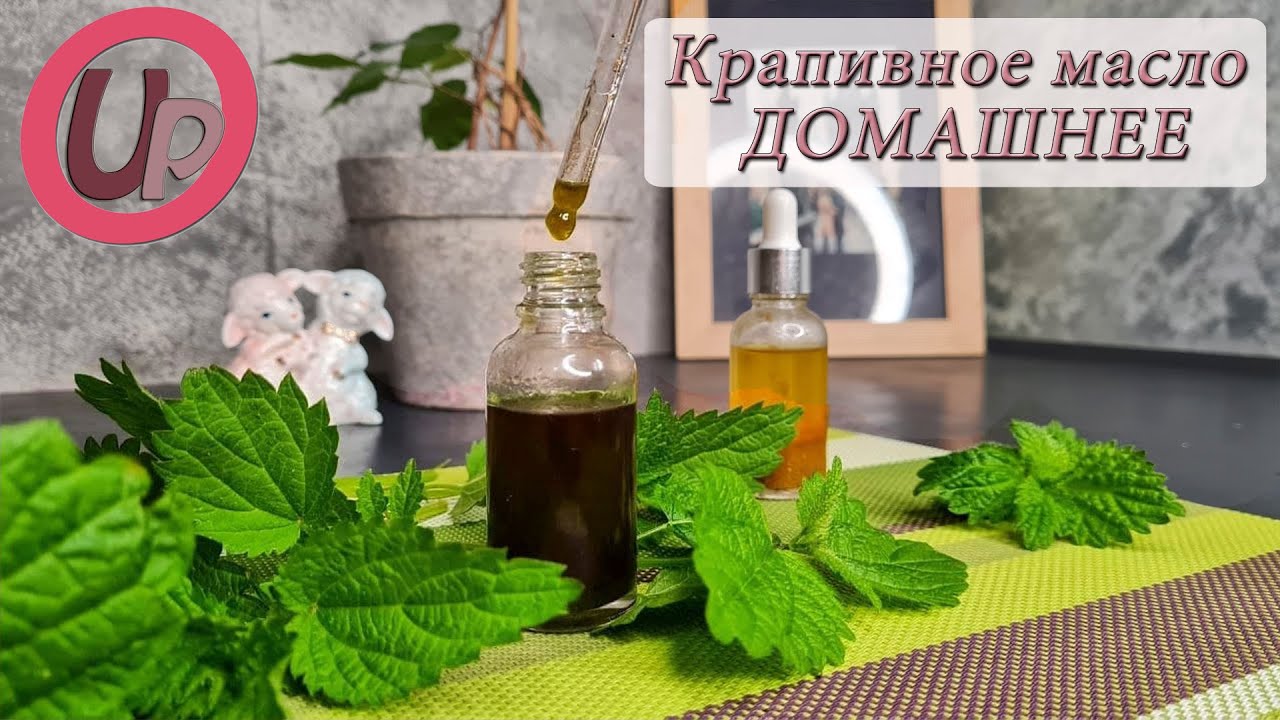 Как сделать МАСЛО ИЗ КРАПИВЫ для волос | Косметическое крапивное масло своими руками