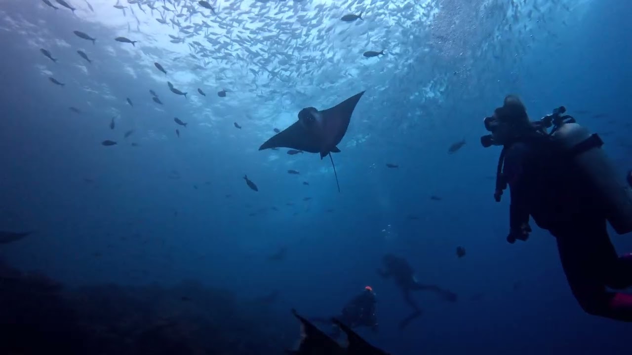 The Galápagos Islands with Aggressor Adventures 4K